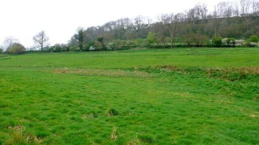 Collin's Wood View south west towards the wood from the road that leads from Maiden Newton to Wynford Eagle