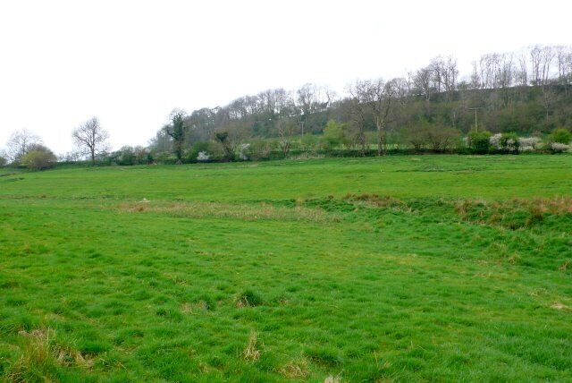 A green field with a hill in the background.