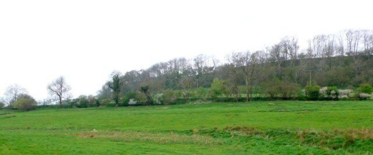 A green field with a hill in the background.