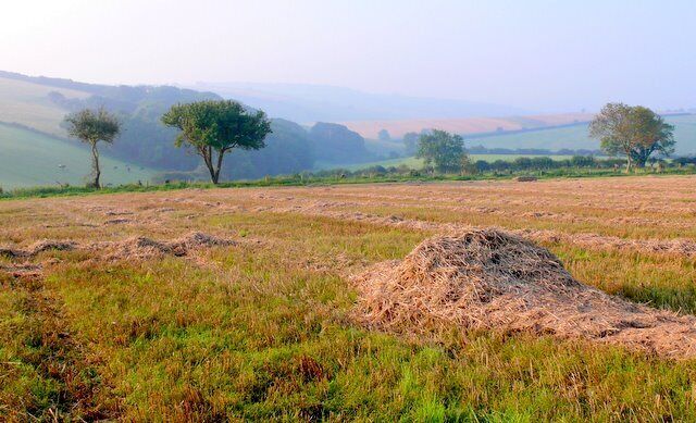 Stubble field at Ridge Hill Looking S towards Poorlots from the NW corner of the square