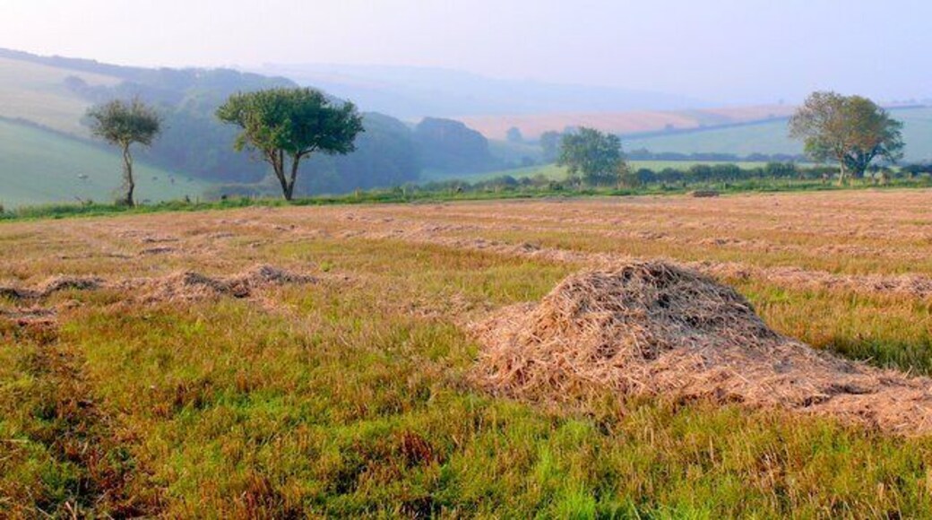 Stubble field at Ridge Hill Looking S towards Poorlots from the NW corner of the square