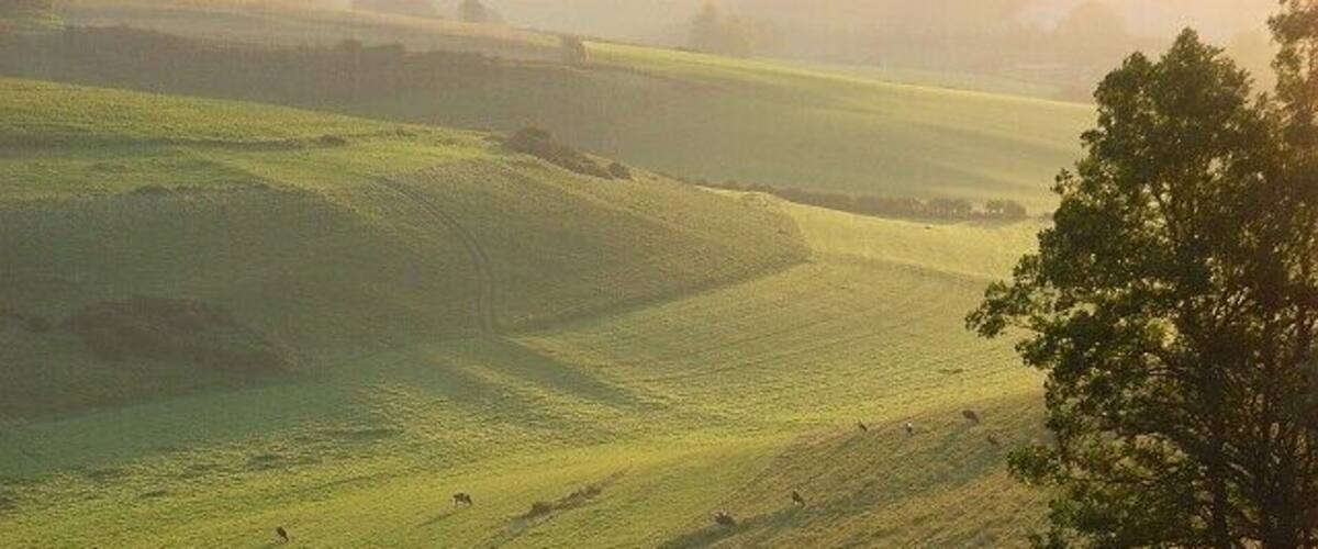 Rake Bottom Looking down into the valley from the edge of an area of woodland strangely called Navvy Shovel.