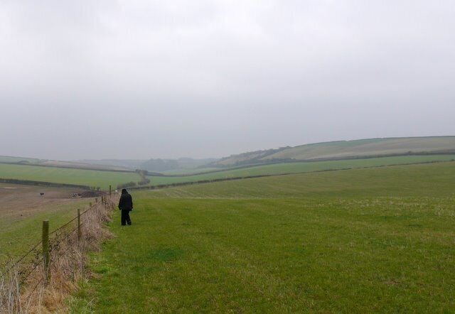 Countryside at Heaves Farm Piddlehinton View east along the field boundary just east of Heaves Farm