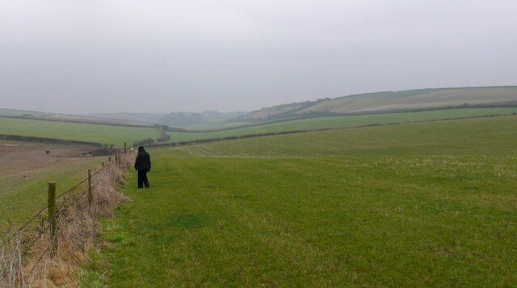 Countryside at Heaves Farm Piddlehinton View east along the field boundary just east of Heaves Farm