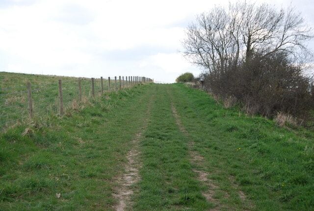 A grassy path with a fence on one side and bushes on the other.