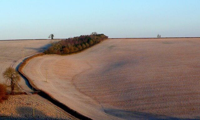 Kingrove Down View N from College Down across Kingrove Bottom to the unnamed copse on Kingrove Down close to the Cerne Abbas to Piddletrenthide road.