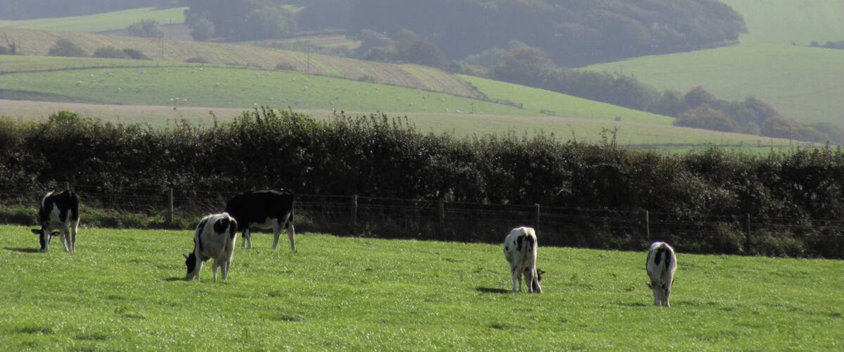 Road to Cornwall through Dorset, England