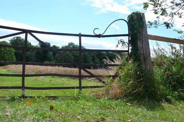 Field Gateway, Tolpuddle This gate is just off the main street through the village a few metres west of the church.