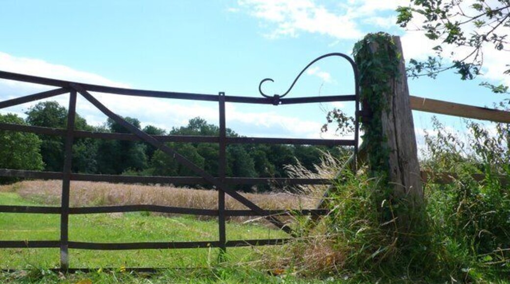 Field Gateway, Tolpuddle This gate is just off the main street through the village a few metres west of the church.