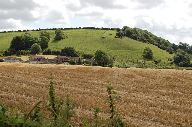 Harvest near Melcombe Bingham