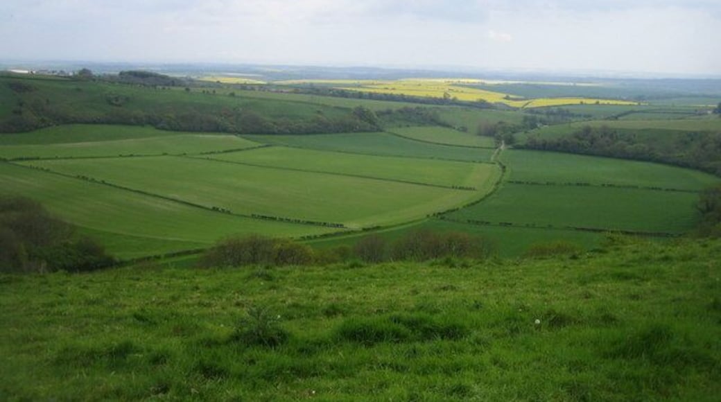 Lyscombe Bottom near Higher Melcombe 1 This view from Lyscombe Hill at a height of about 240m and looking south-east is of Lyscombe Bottom. This is a coombe, a steep sided dry valley formed in freely draining chalk downland. Traces of medieval settlement patterns and some barrows (mounds of earth and stones raised over a grave) have been found in Lyscombe Bottom. On the nearby hills are numerous cross dykes, tumuli and a hill fort. In the middle distance two woods almost meet at about 130m, and Lyscombe Farm can just be seen amongst the trees. Barely visible in the far distance beyond the Frome valley are the Purbeck Hills.
