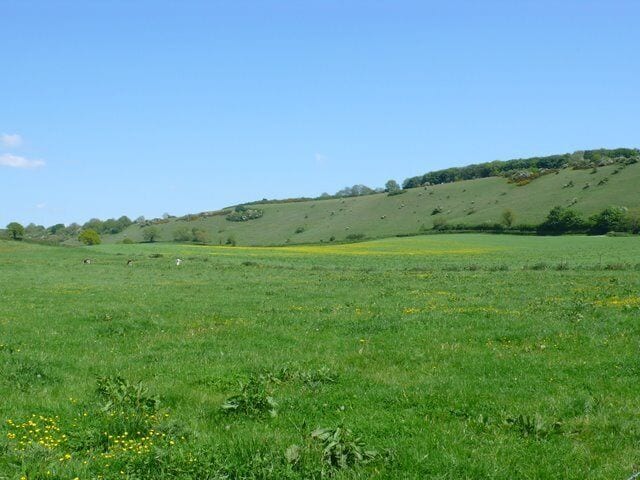 Higher Hill View east towards Higher Hill from the road between Plush and Folly.