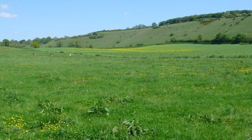 Higher Hill View east towards Higher Hill from the road between Plush and Folly.