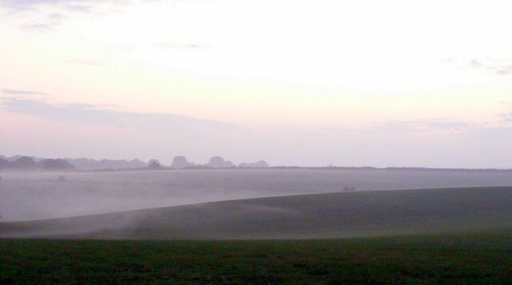Misty Day at Yellowham Woods The mist started to gather in the hollows as the day cooled.