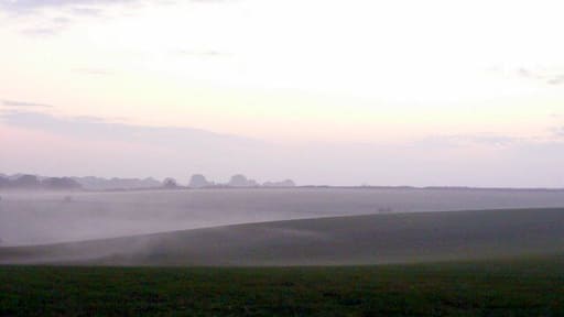 Misty Day at Yellowham Woods The mist started to gather in the hollows as the day cooled.