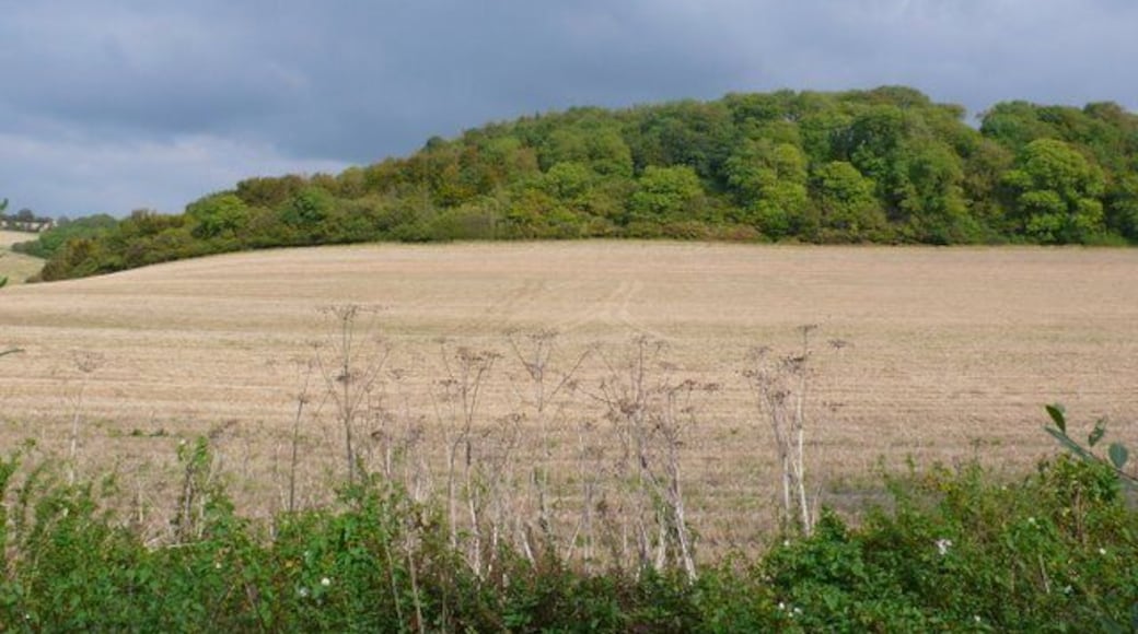 Farmland in the Sydling Valley View E across the Sydling Water towards Huish Plantation