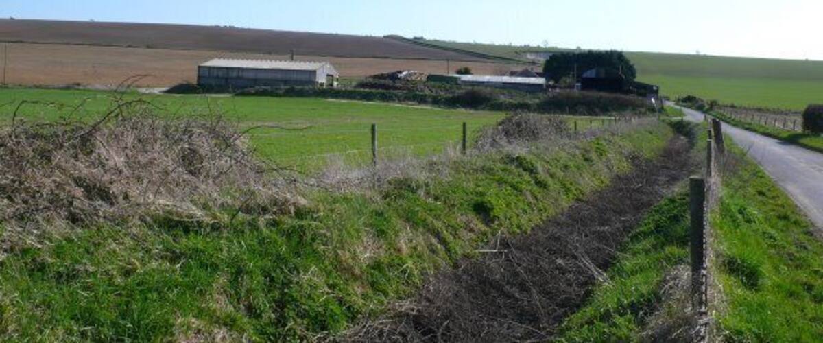 A rural landscape with a narrow road, green fields, and farm buildings.