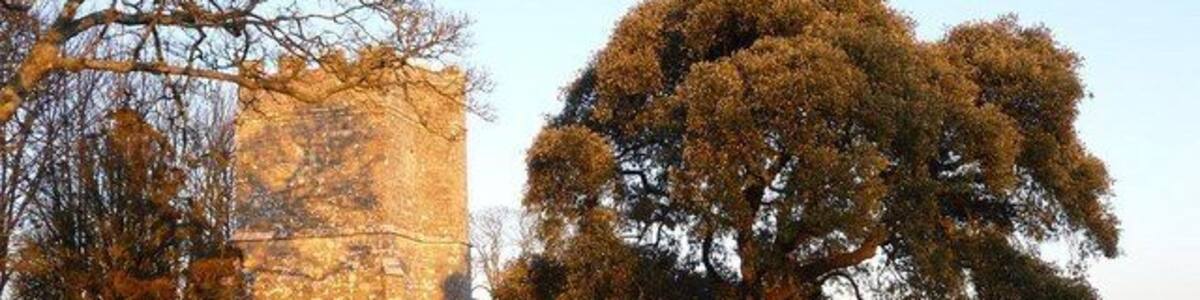Whitcombe: church tower in evening sun, near to Whitcombe, Dorset, Great Britain. Looking at the tower of Whitcombe: parish church of lost dedication from the field through which the church is accessed; the late afternoon winter sun is catching the building quite fetchingly.