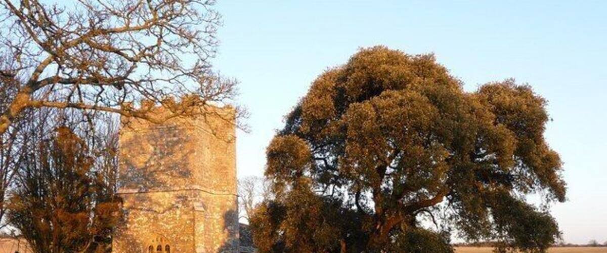 Whitcombe: church tower in evening sun, near to Whitcombe, Dorset, Great Britain. Looking at the tower of Whitcombe: parish church of lost dedication from the field through which the church is accessed; the late afternoon winter sun is catching the building quite fetchingly.
