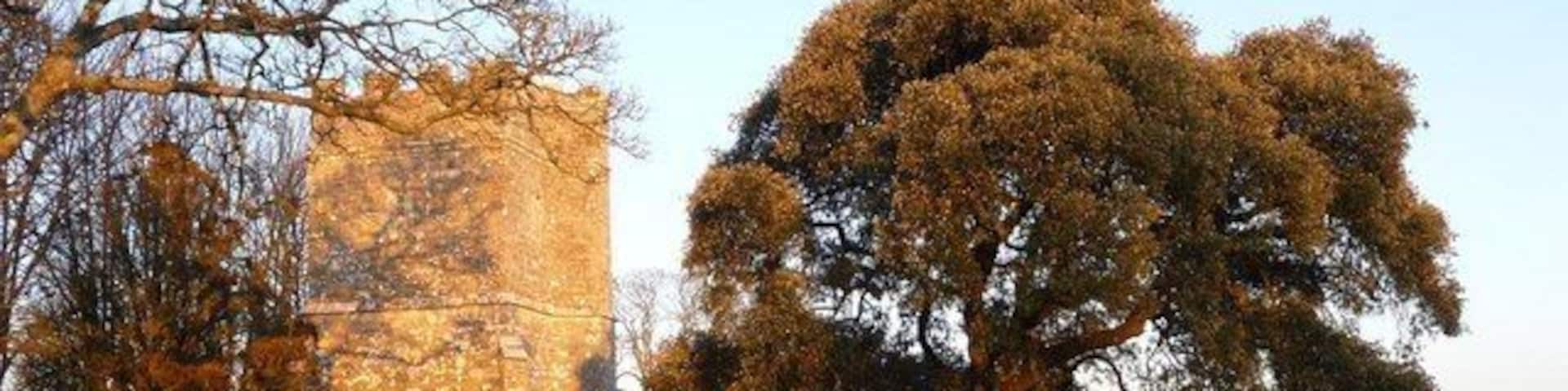 Whitcombe: church tower in evening sun, near to Whitcombe, Dorset, Great Britain. Looking at the tower of Whitcombe: parish church of lost dedication from the field through which the church is accessed; the late afternoon winter sun is catching the building quite fetchingly.