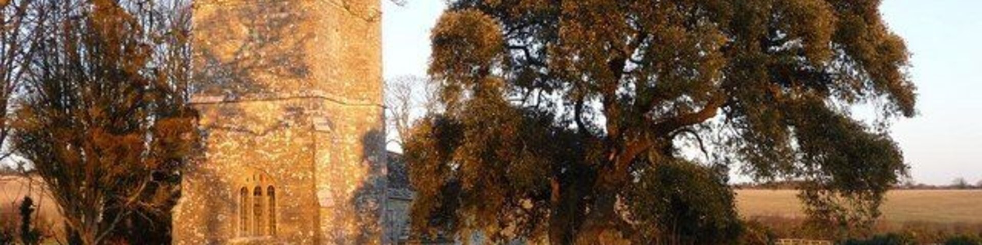 Whitcombe: church tower in evening sun, near to Whitcombe, Dorset, Great Britain. Looking at the tower of Whitcombe: parish church of lost dedication from the field through which the church is accessed; the late afternoon winter sun is catching the building quite fetchingly.