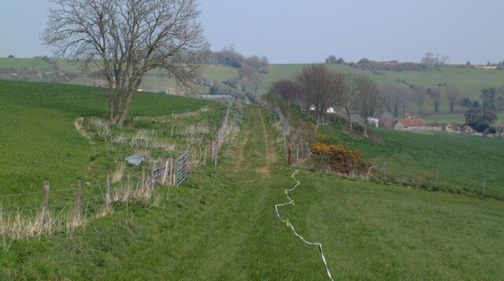 Roman Road near Tolpuddle The farm track in the foreground is on the alignment of the Roman Road to Dorchester (behind the photographer). If you look carefully in the distance you can see another track on the same alignment climbing a hill.