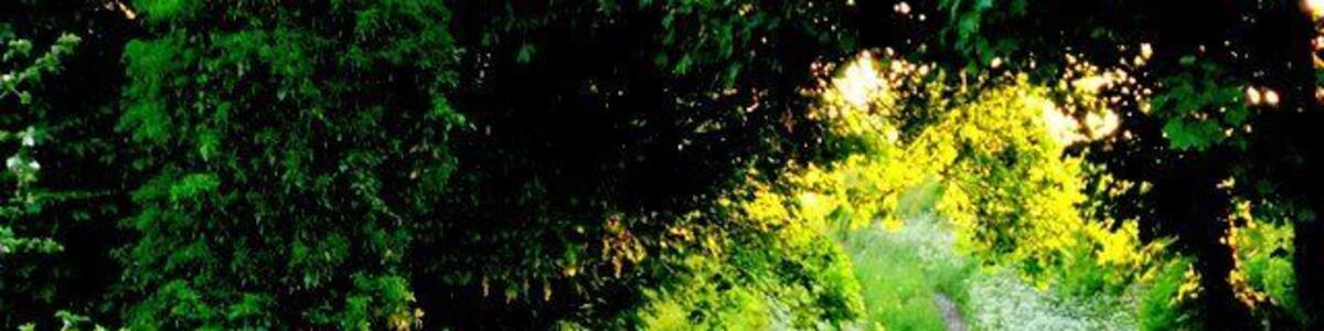 Bridle Path near Chebbards Farm This path runs west from near Chebbard Farm to Cheselbourne West Down.