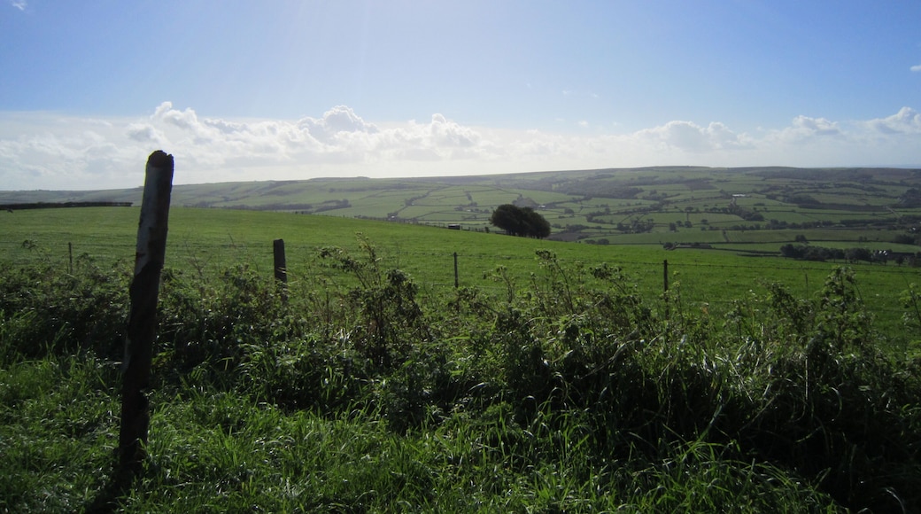 Road to Cornwall through Dorset, England
