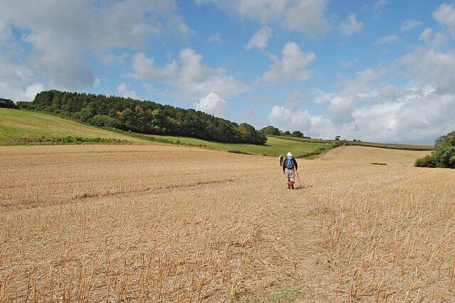 Footpath going towards Melcombe Park Farm Fern Wood on the left.