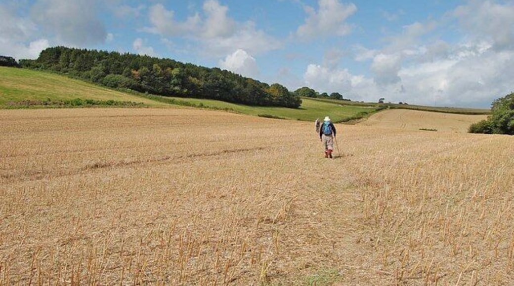 Footpath going towards Melcombe Park Farm Fern Wood on the left.