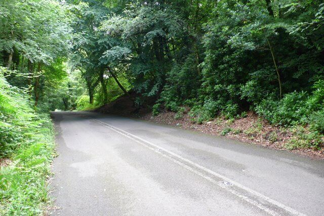Top of Yellowham Hill In the day of horse cart and carriage this summit must have been a welcome sight for traffic coming to and from Dorchester. It still is a welcome sight for walkers and cyclists.