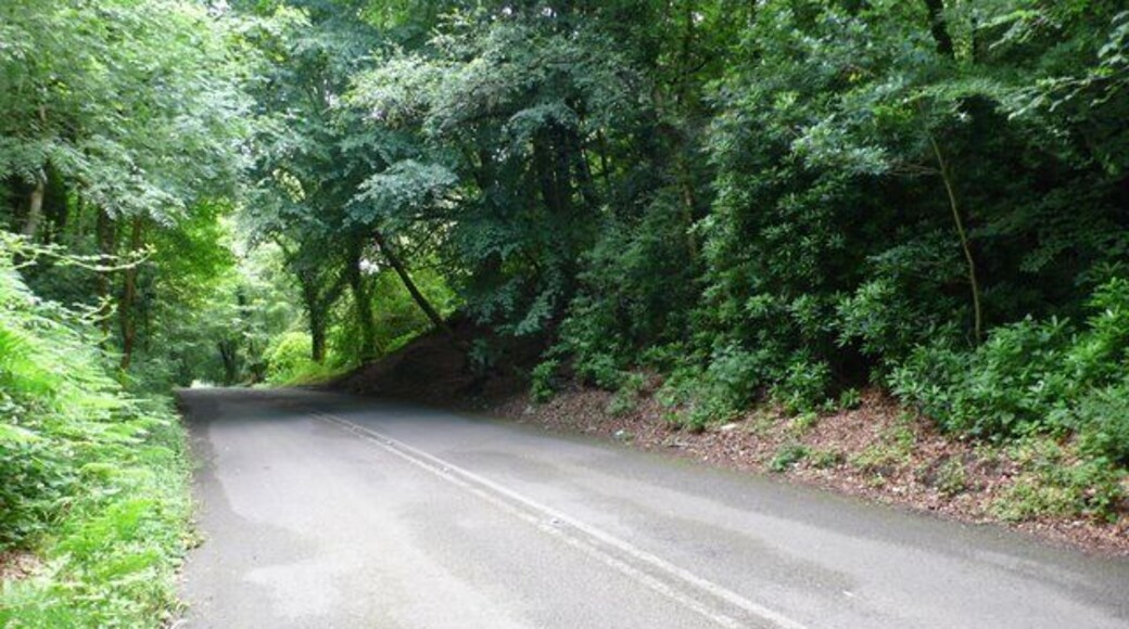 Top of Yellowham Hill In the day of horse cart and carriage this summit must have been a welcome sight for traffic coming to and from Dorchester. It still is a welcome sight for walkers and cyclists.