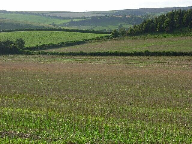 Paisaje rural con colinas onduladas, campos y una hilera de árboles a lo lejos.