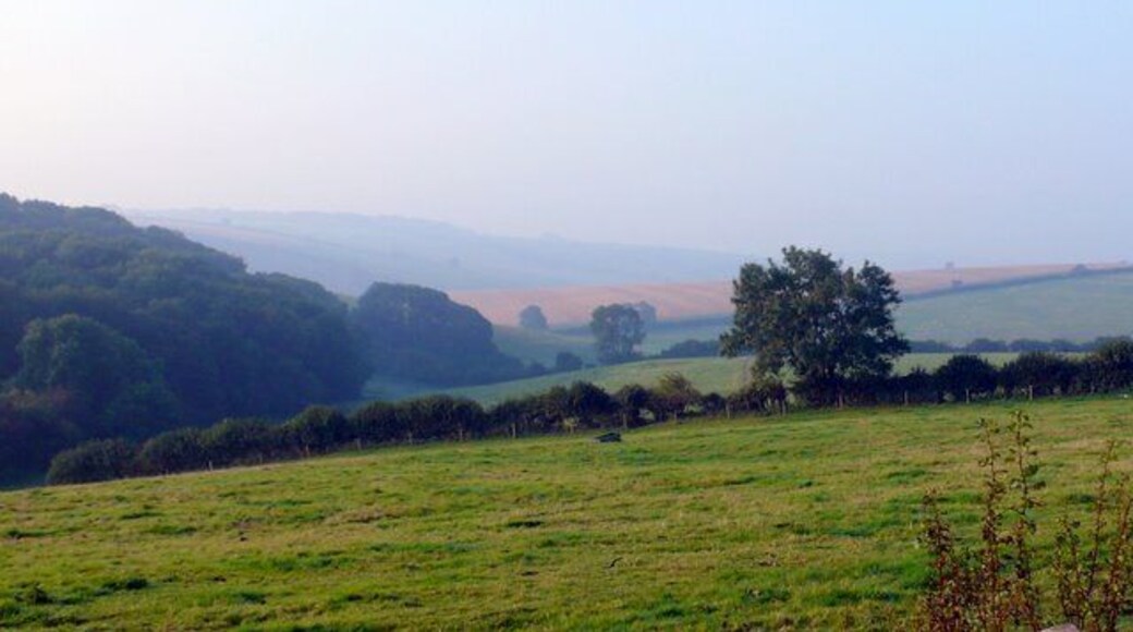 Pond Bottom and Shearplace Hill Looking SW towards Huish barn from the slopes of Large Bar Hill