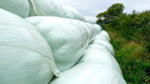 Bales at Short Cross This pile of Bales were stacked close to the fields edge just north of Frome St Quentin