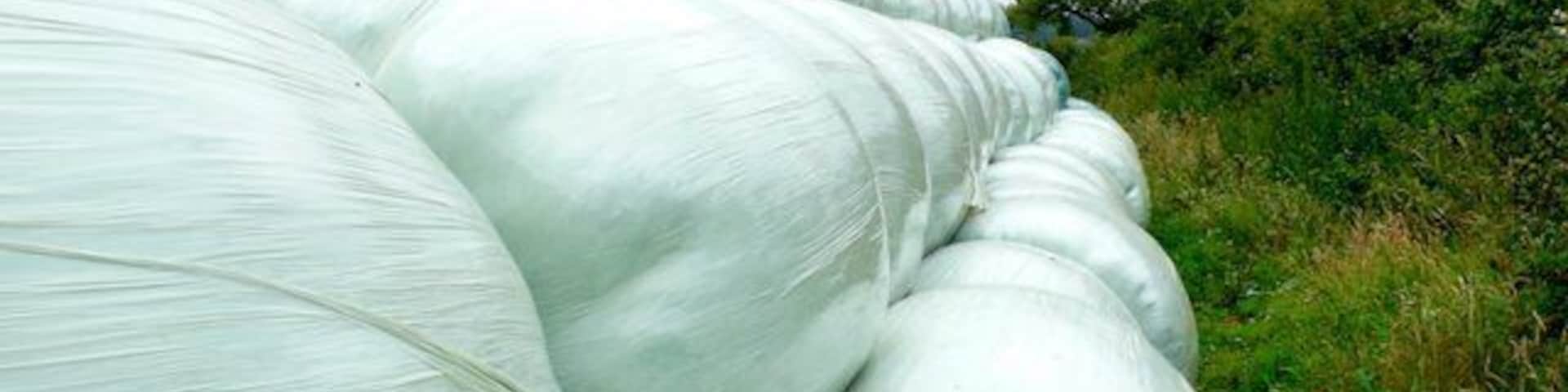 Bales at Short Cross This pile of Bales were stacked close to the fields edge just north of Frome St Quentin