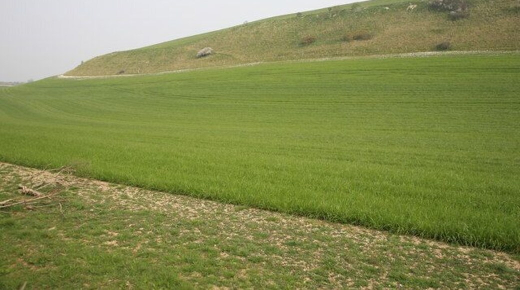 Marley Bottom From spot height 73 (1:25000)