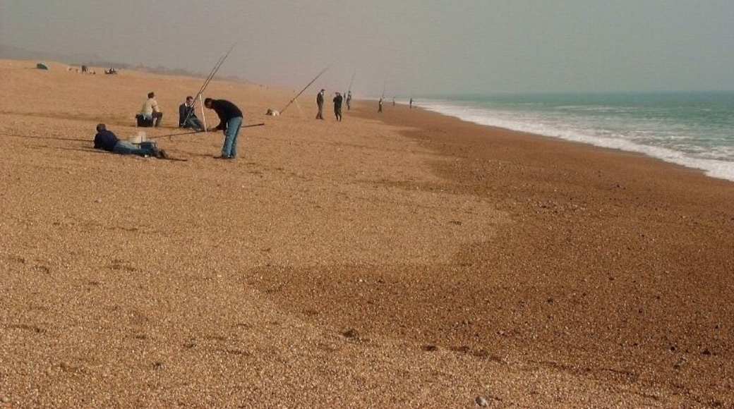 West Bexington Beach Chesil Beach: Fishermen cast from the beach