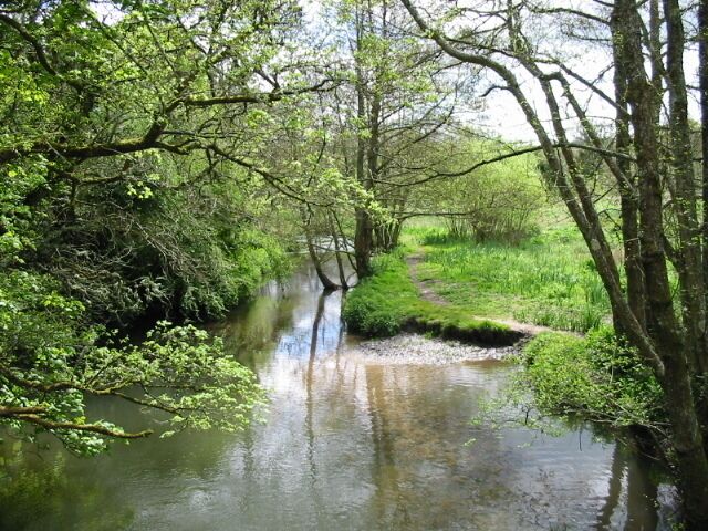 River Frome near Maiden Newton.