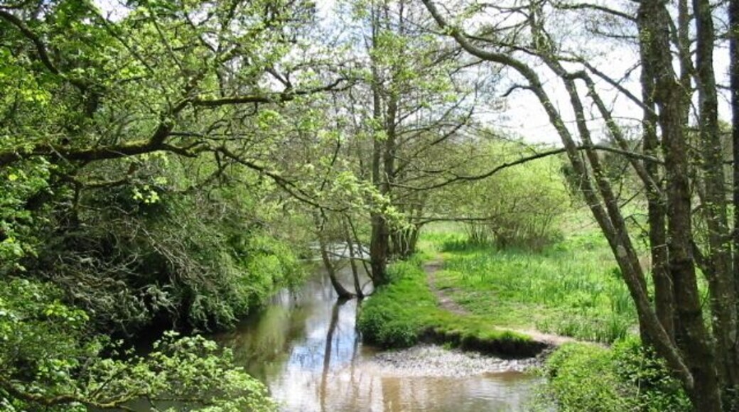 River Frome near Maiden Newton.