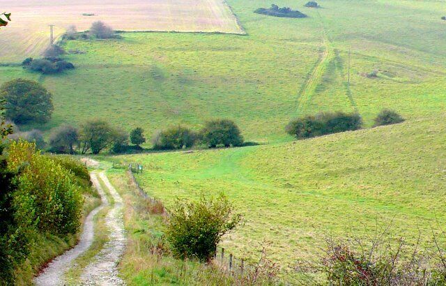 Hog Cliff National Nature Reserve Looking W down into Hog Cliff Bottom from the track that runs down into the reserve from the A37