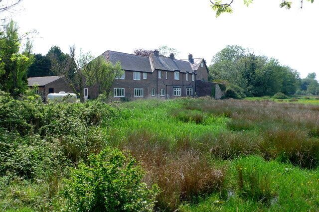 A large house surrounded by tall grass and trees.