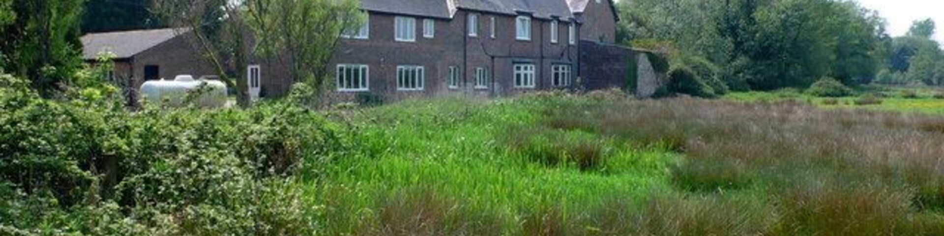 A large house surrounded by tall grass and trees.