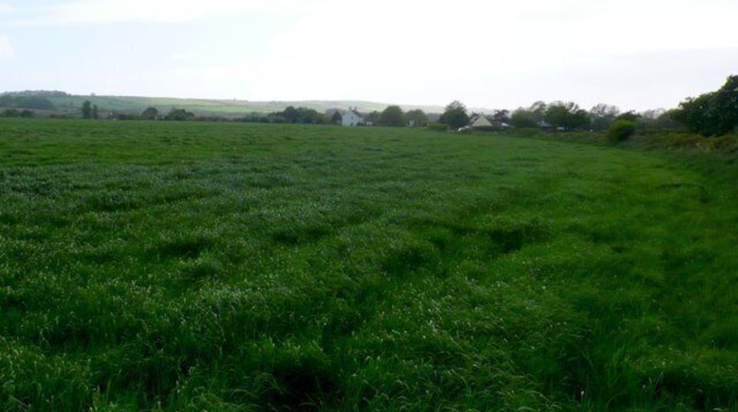Portway View south west along the line of the A352 towards Portway. Taken from close to the road just west of East Knighton