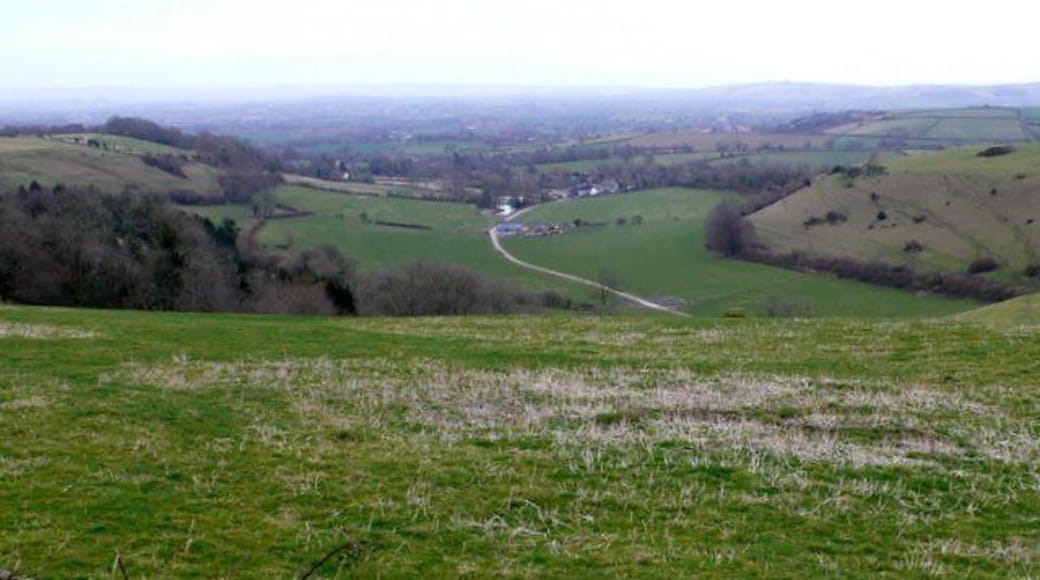 Buckland Bottom View NE down Buckland Bottom with the village of Buckland newton just beyond. Taken from watts hill close to the C12 Dorchester to Middlemarsh road.
