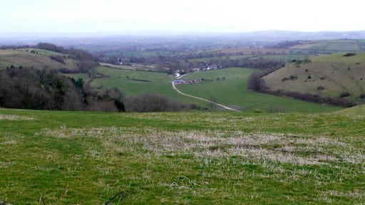 Buckland Bottom View NE down Buckland Bottom with the village of Buckland newton just beyond. Taken from watts hill close to the C12 Dorchester to Middlemarsh road.