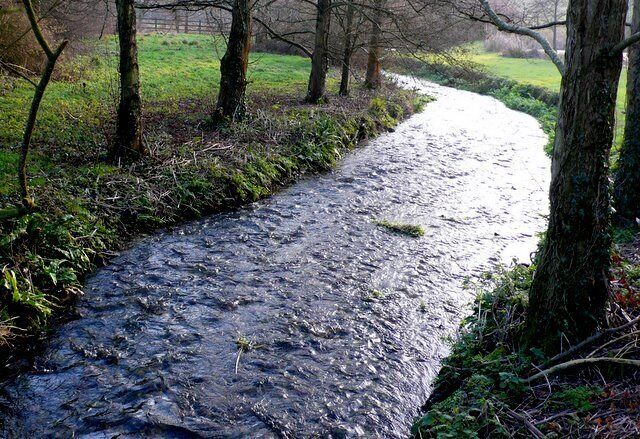 River Piddle The river runs parallel to the B3143. This view is south downstream between Piddletrenthide and Alton Pancras.