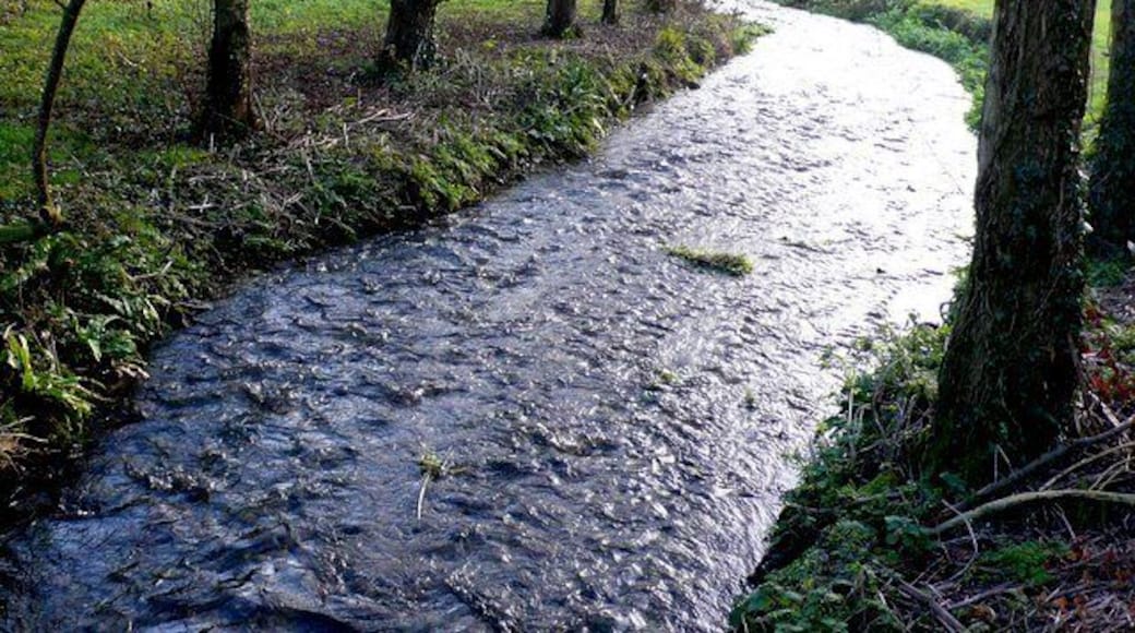 River Piddle The river runs parallel to the B3143. This view is south downstream between Piddletrenthide and Alton Pancras.