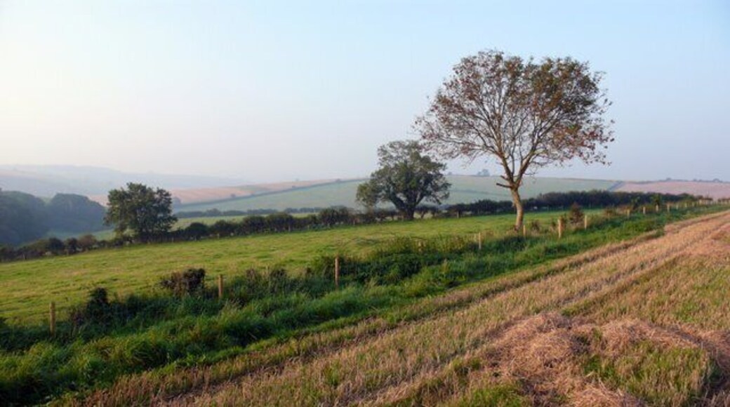 Large Bar Hill View across the square SW from the SW slopes of Large Bar Hill towards Pond Bottom