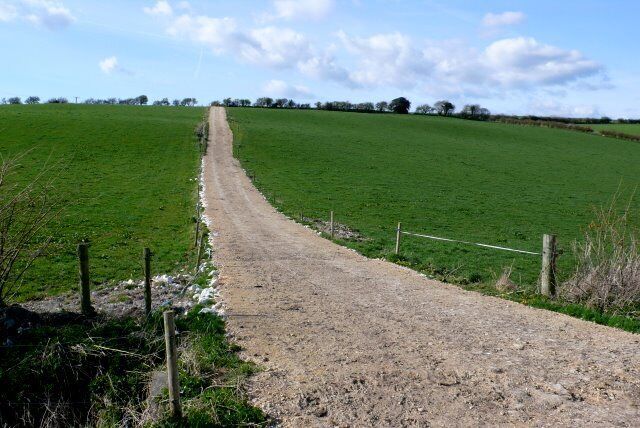 New Track in Church Bottom The new track of crushed chalk runs north west up the side of the bottom to Longlands Farm. The old track used to do a dog leg down the side of the field on the extreme right